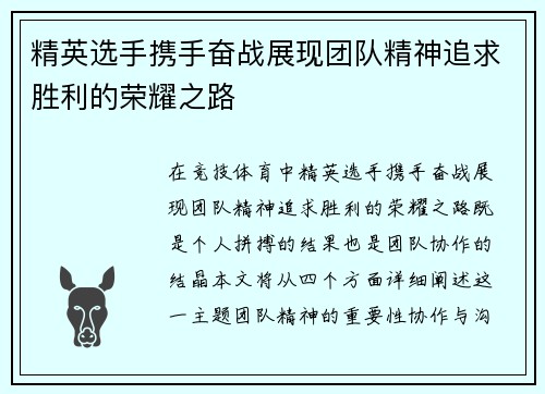 精英选手携手奋战展现团队精神追求胜利的荣耀之路