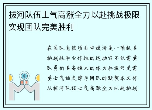 拔河队伍士气高涨全力以赴挑战极限实现团队完美胜利
