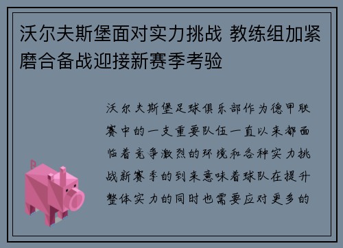 沃尔夫斯堡面对实力挑战 教练组加紧磨合备战迎接新赛季考验
