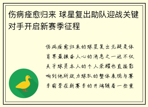 伤病痊愈归来 球星复出助队迎战关键对手开启新赛季征程