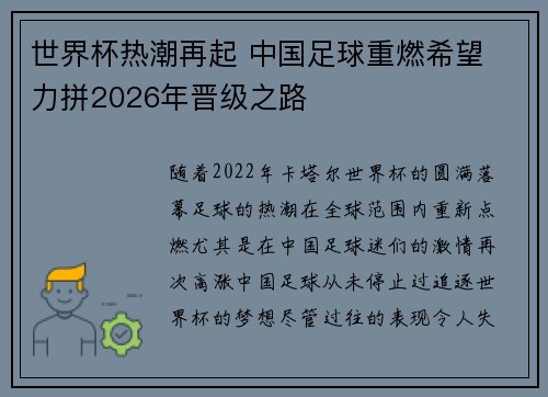世界杯热潮再起 中国足球重燃希望 力拼2026年晋级之路